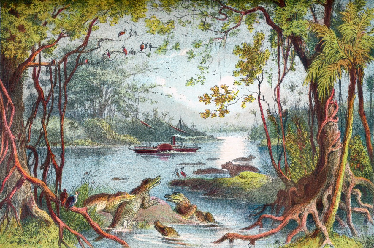 Loď Davida Livingstonea The Ma-Robert na řece Zambezi v Africe během jeho expedice do Zambezi v 19. století. Od The Life and Explorations of Dr. Livingstone publikované kolem roku 1875. od English School