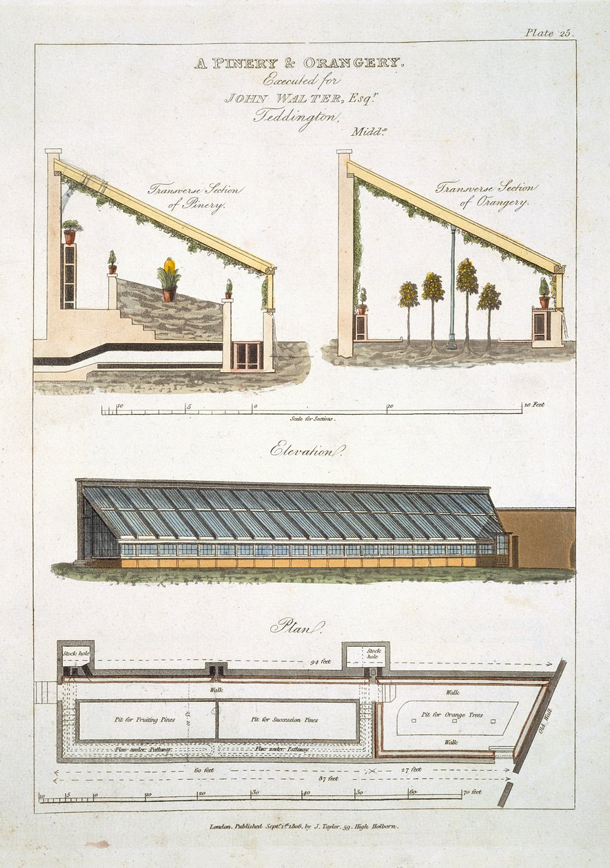 Design for a Pinery and Orangery at Teddington, 1806 od English School
