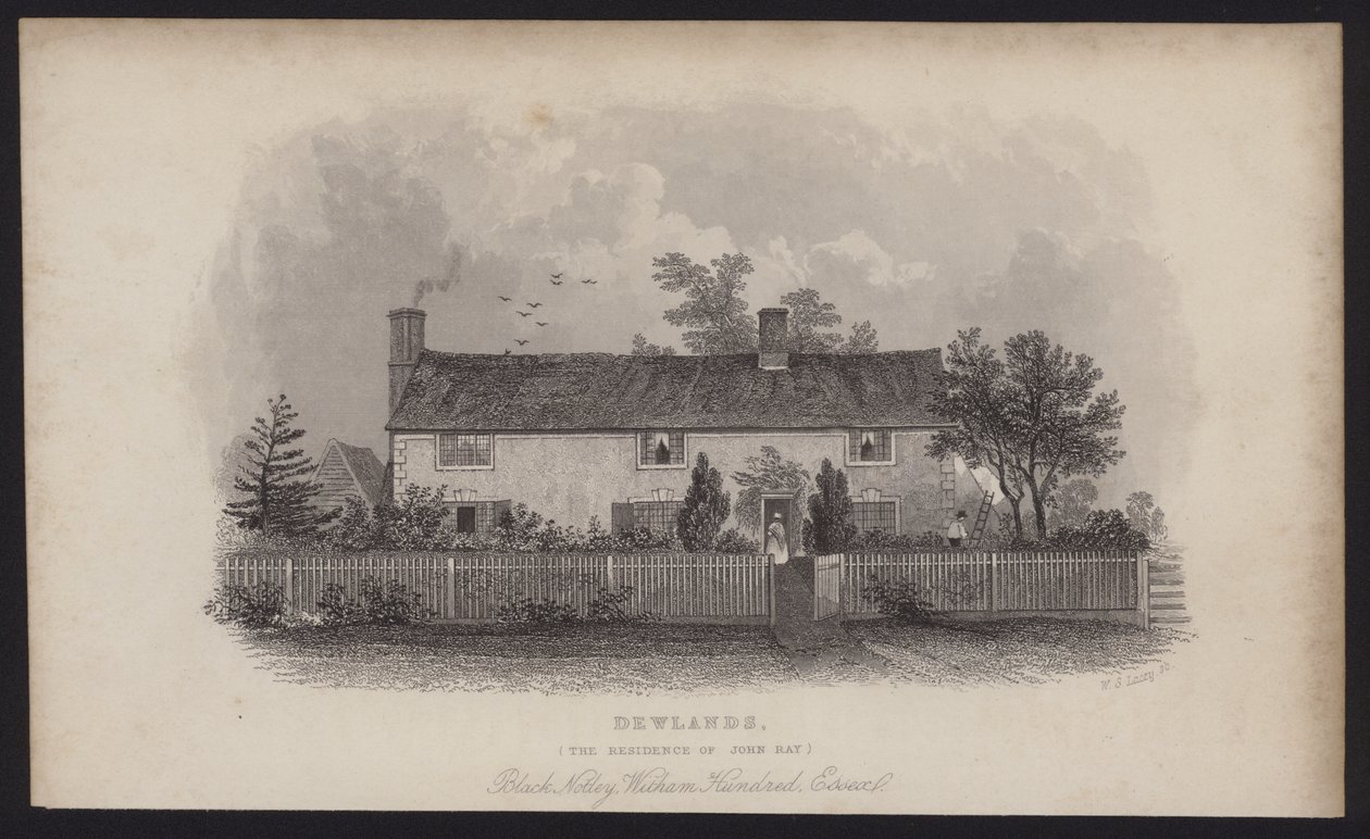 Dewlands, sídlo Johna Raye, Black Notley, Witham Hundred, Essex (rytina) od English School