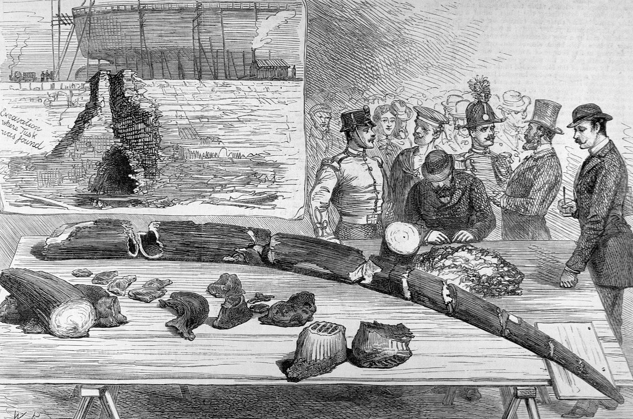 Objev fosilních pozůstatků v Leghornu v Toskánsku, z The Illustrated London News, 21. ledna 1882. od English School
