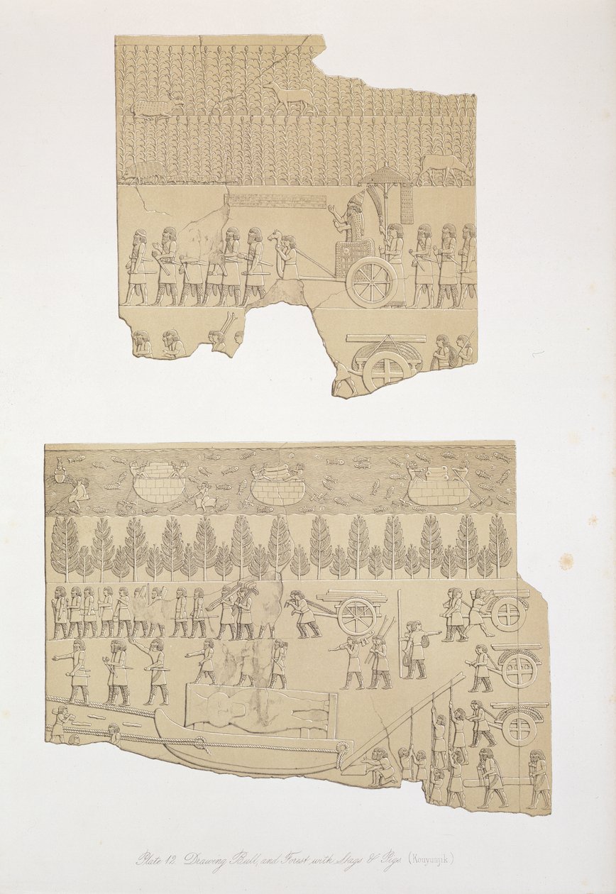 Kresba býka a lesa s jeleny a prasaty, Kouyunjik, deska 12 z Ninive a jeho pozůstatky od Austena Henryho Layarda (1817-94) vydáno 1849 od English School
