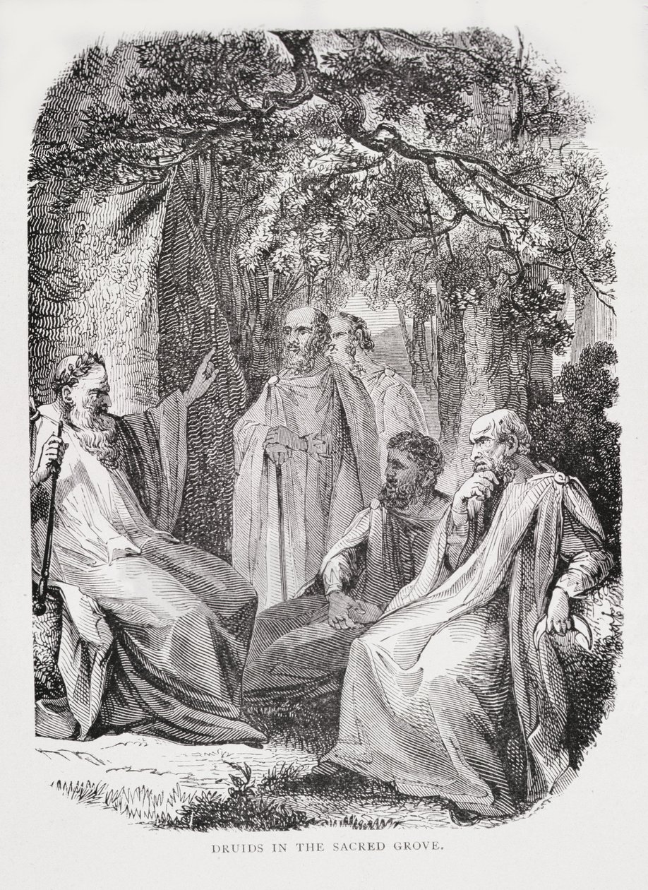 Druids in the Sacred Grove, z Historie Francie, Emile de Bonnechose, vydal Ward, Lock and Co, Londýn od English School