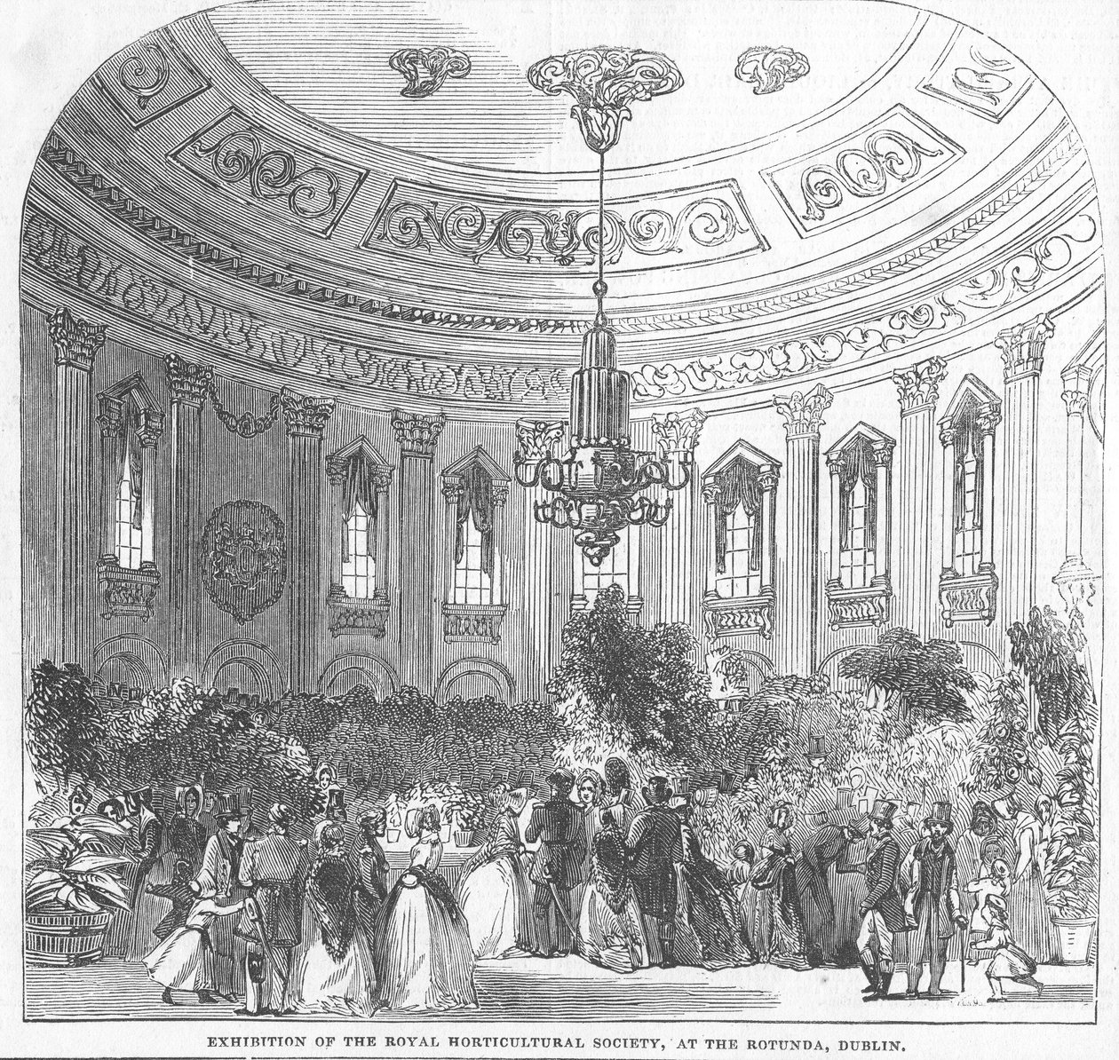 Výstava Královské zahradnické společnosti v Rotundě v Dublinu, ilustrace z "The Illustrated London News", 1854 od English School