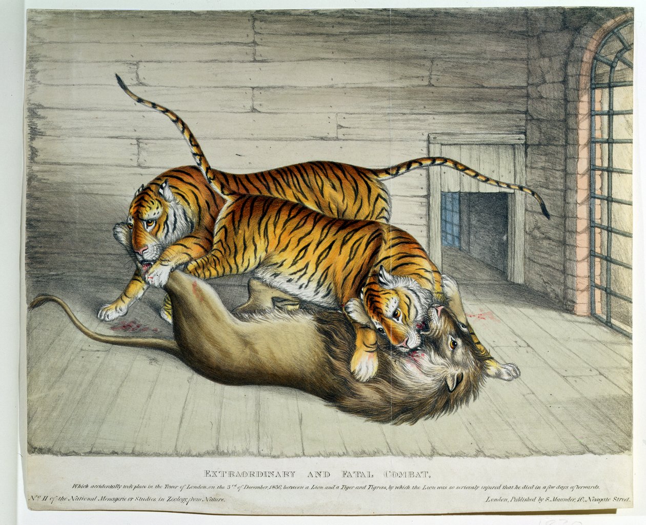 Mimořádný a fatální boj, 1830 (barevné lito) od English School