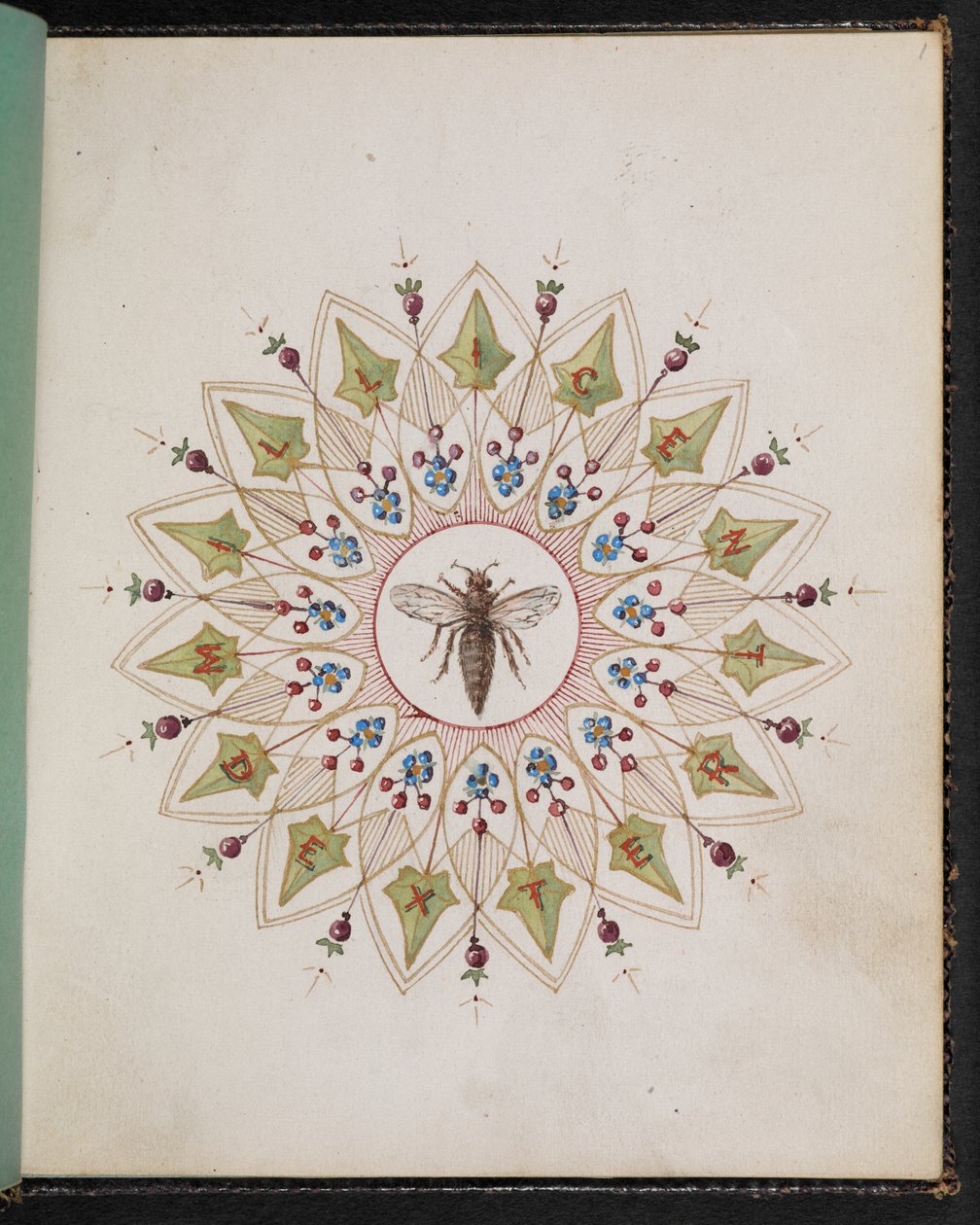 F.1: Hmyz v designu. Kniha skic se scénami z příběhů Charlese Dickense (akvarel na papíře) od English School