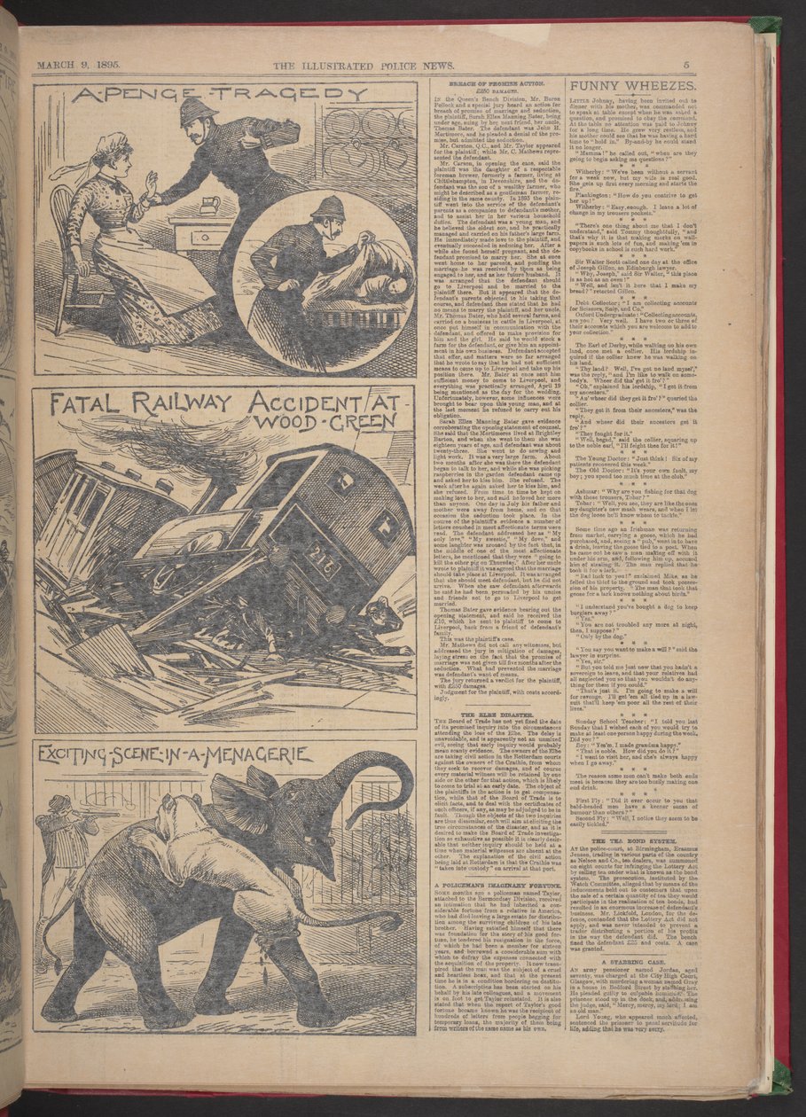 "SMRTELNÁ ŽELEZNIČNÍ NEHODA VE WOOD-GREENU." Illustrated Police News, 9. března 1895 (novinový papír) od English School