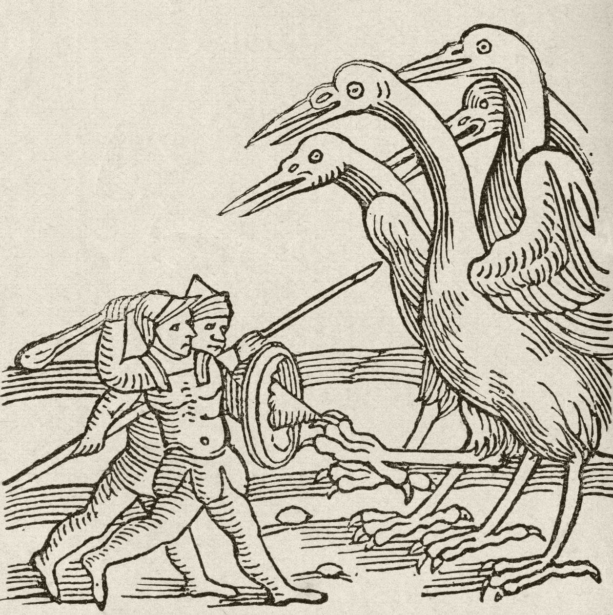 Boj mezi Pygmeji a jeřáby. Příběh z řecké mytologie. From The Strand Magazine vydaný v roce 1897. od English School