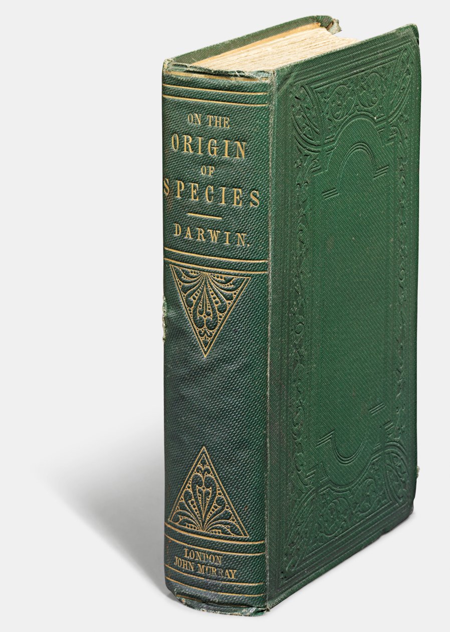 První vydání knihy „O původu druhů prostřednictvím přirozeného výběru“ od Charlese Darwina, Londýn: John Murray od English School