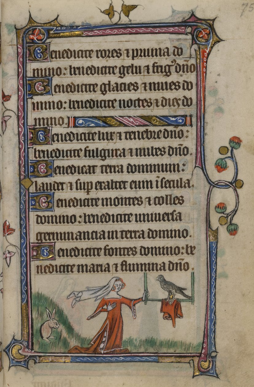 Folio 75 Ilustrace z 