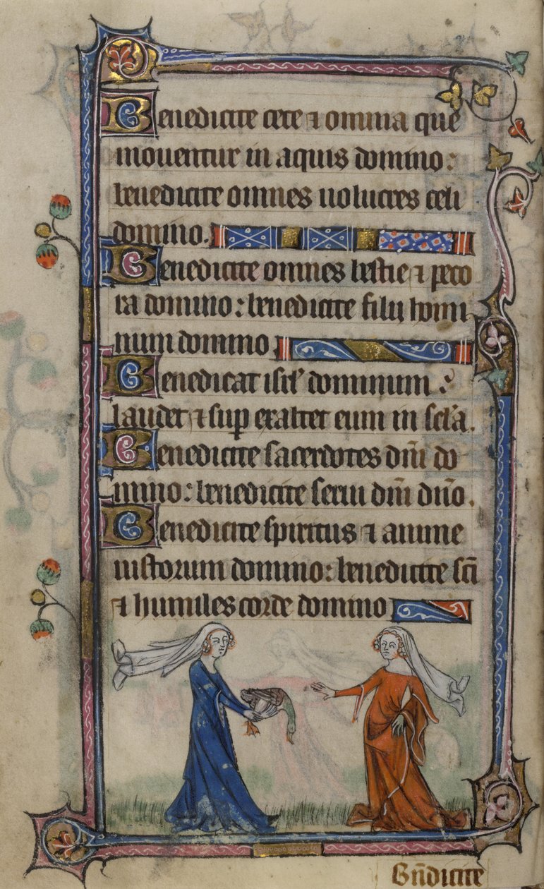 Folio 75v ilustrace z 