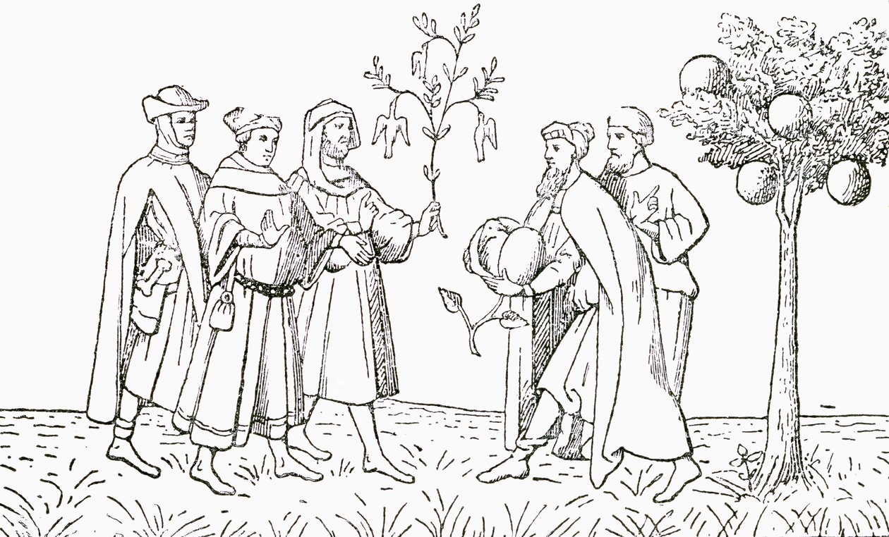 Mnich Odoric z Pordenone drží větev ze stromu, na kterém rostou ptáci, a je ukázán místním králem, Lamb Tree of Tartarary, zobrazující vycházející jehně, ilustrace z The Strand Magaz od English School