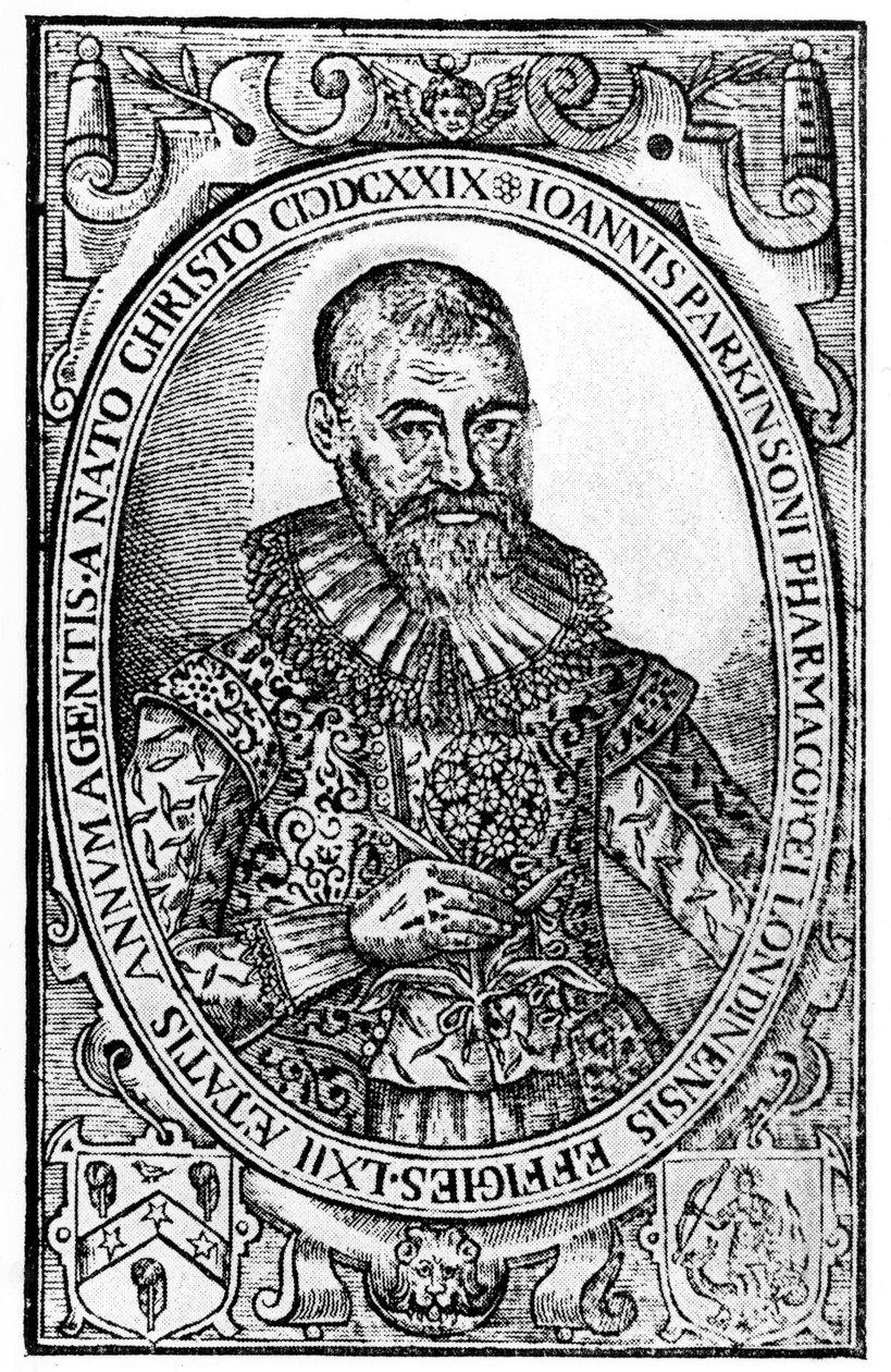 Frontispis pro Paradisi in Sole Paradisus Terrestris od Johna Parkinsona, publikoval 1629 od English School
