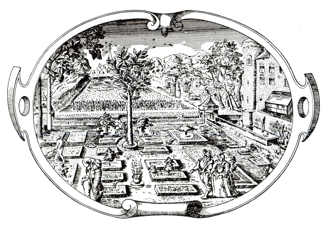 Frontispiece, z Herball, John Gerard (1545-1607), publikoval 1597 od English School