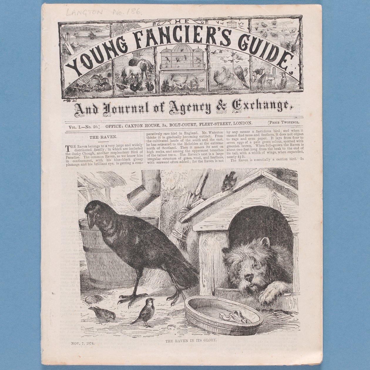 Frontispis z The Young Fanciers Guide, 1874 (viz také 315145) od English School