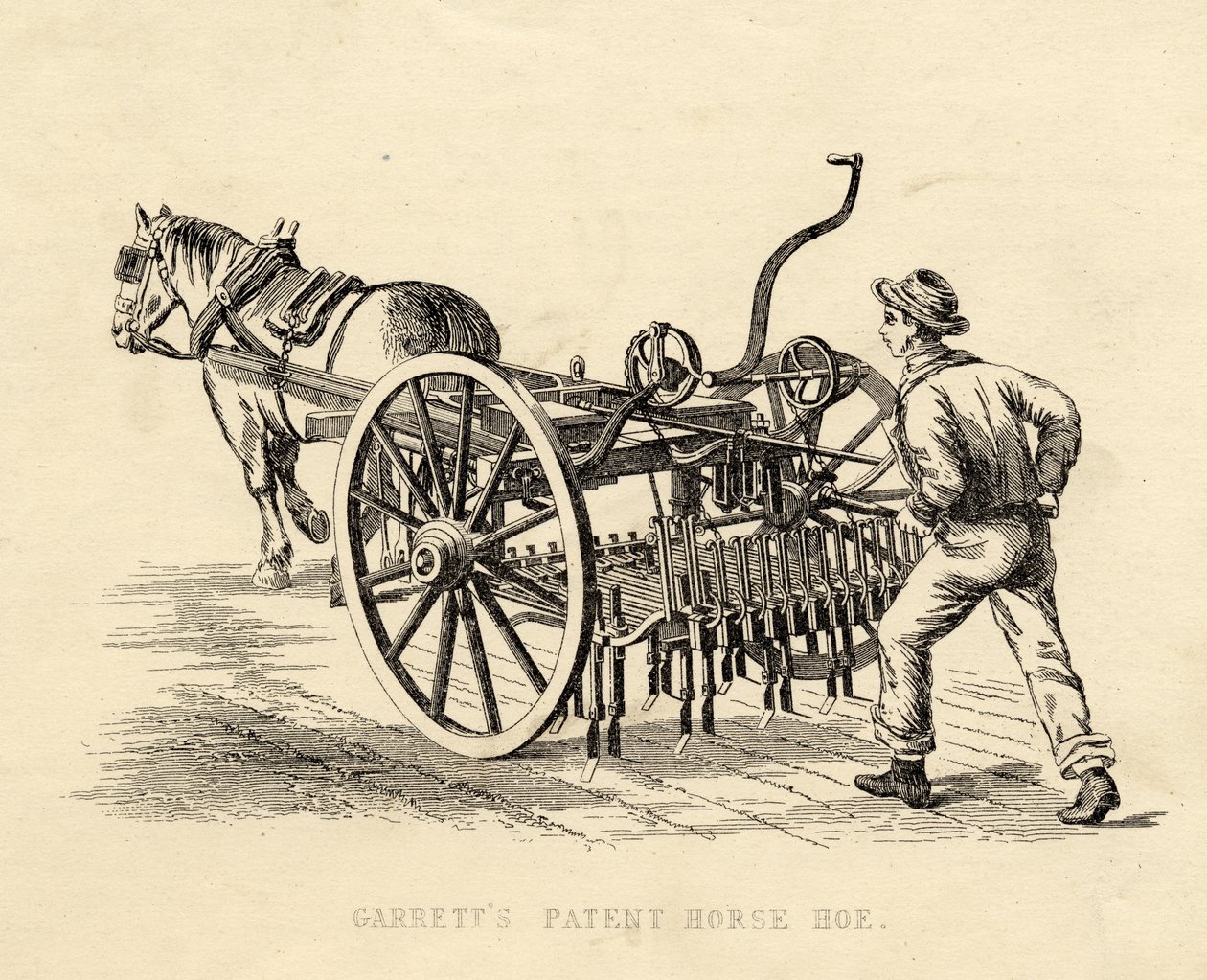 Garretts Patent Horse Motyka od English School