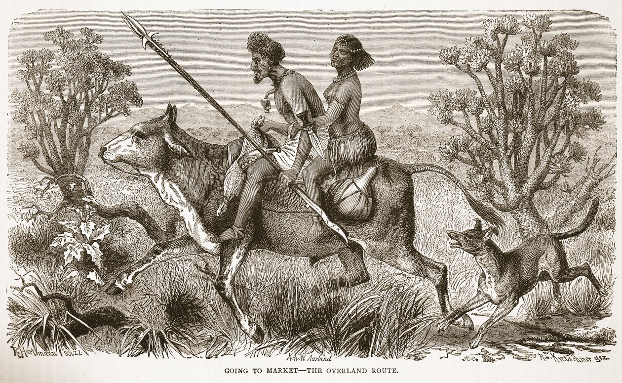Jít na trh – pozemní cesta, ilustrace z Obrazového vydání života a objevů Davida Livingstona od J. Ewinga Richieho, hospoda. od A. Fullarton & Co., 1876 od English School