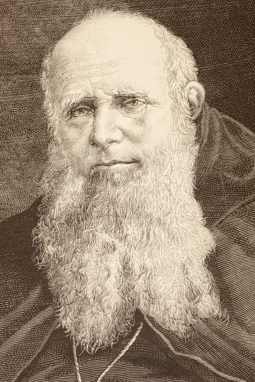 Guglielmo Massaia (litho) od English School