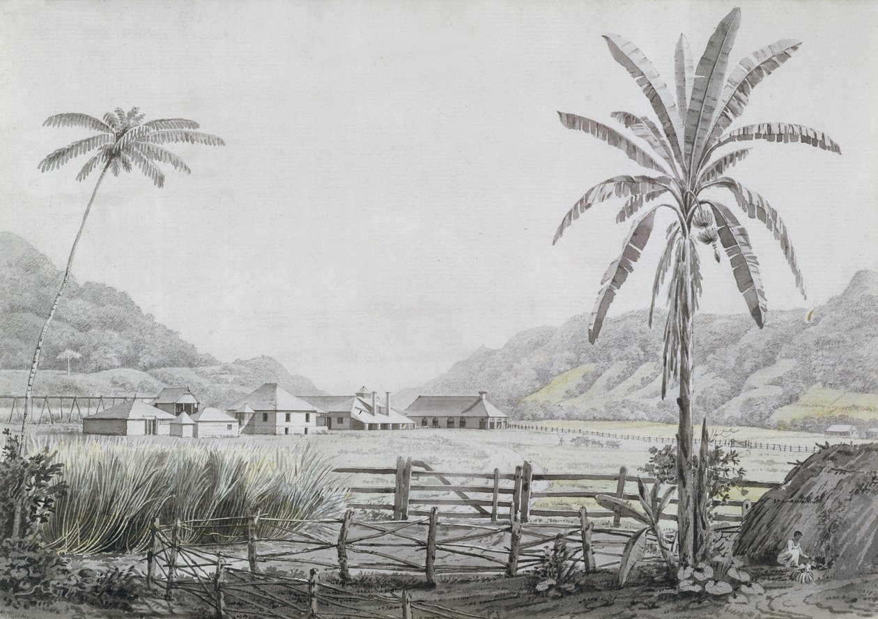 Halse Hall, Jamajka, cca 1780 (wc a grafit na papíře) od English School
