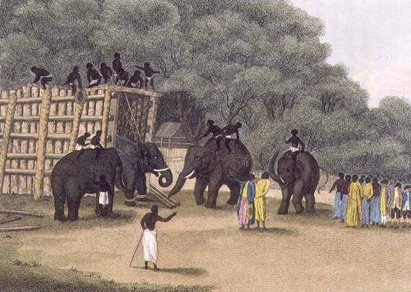 Past na slony Hindoo, hospoda. od Edwarda Orma od English School