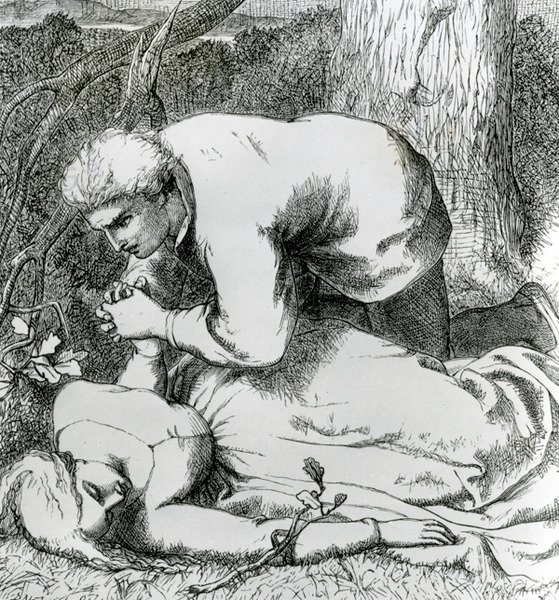Ilustrace z 