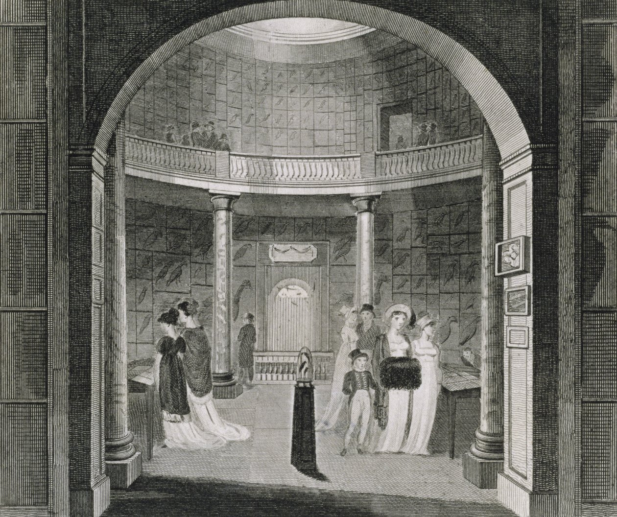 Vnitřní pohled na Leverian Museum, 1806 od English School