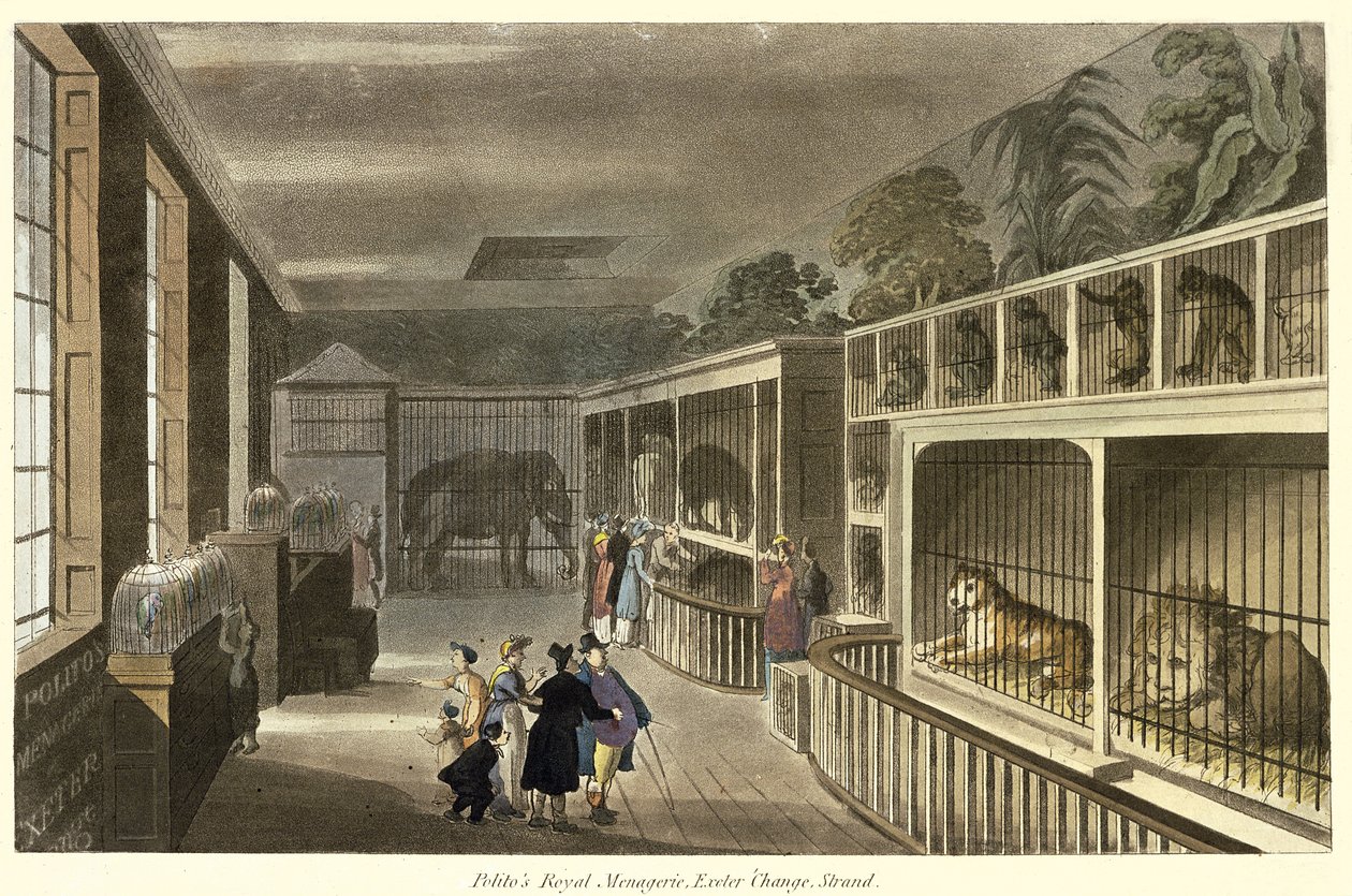 Vnitřní pohled na Politos Royal Menagerie, Exeter Change, Strand, 1812 (akvatinta) od English School