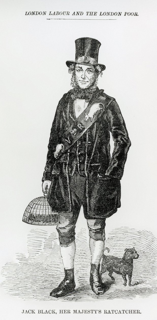 Jack Black, Její Veličenstvo Krysař, kolem roku 1840 od English School