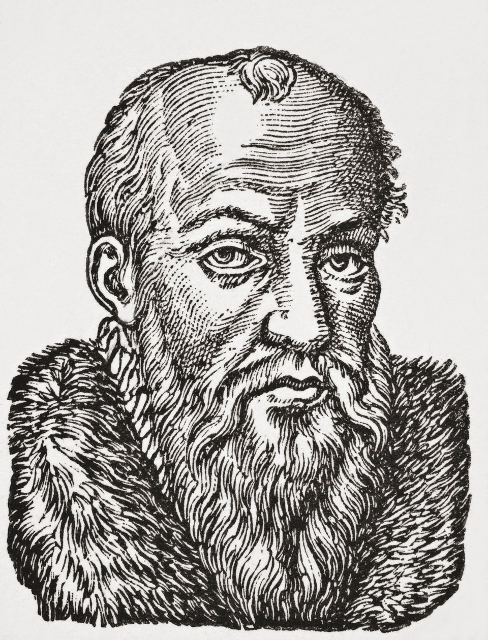Jacques de Cujas, 1878 (litho) od English School