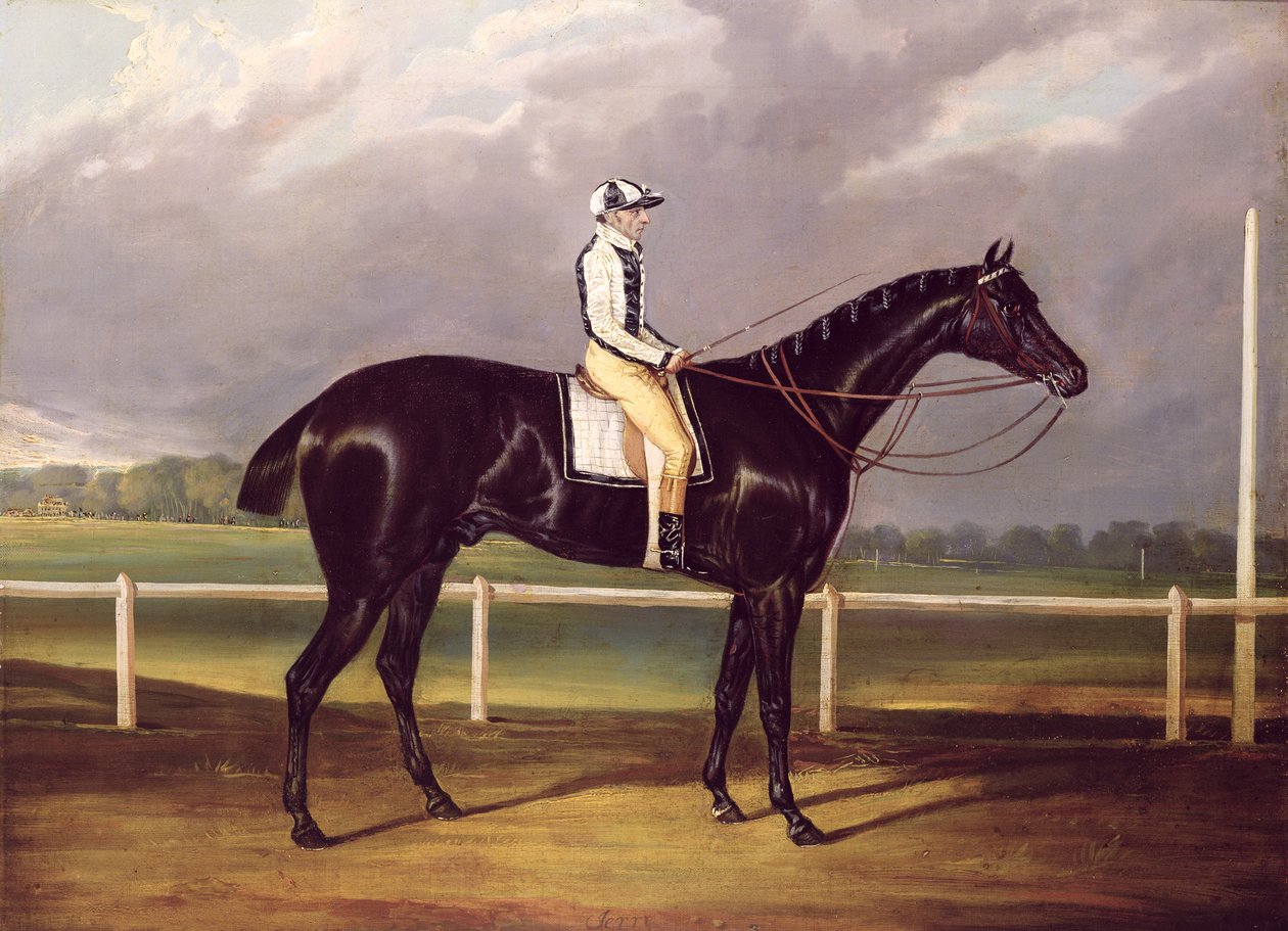 Jerry, vítěz St. Leger v roce 1824 (olej na plátně) od English School