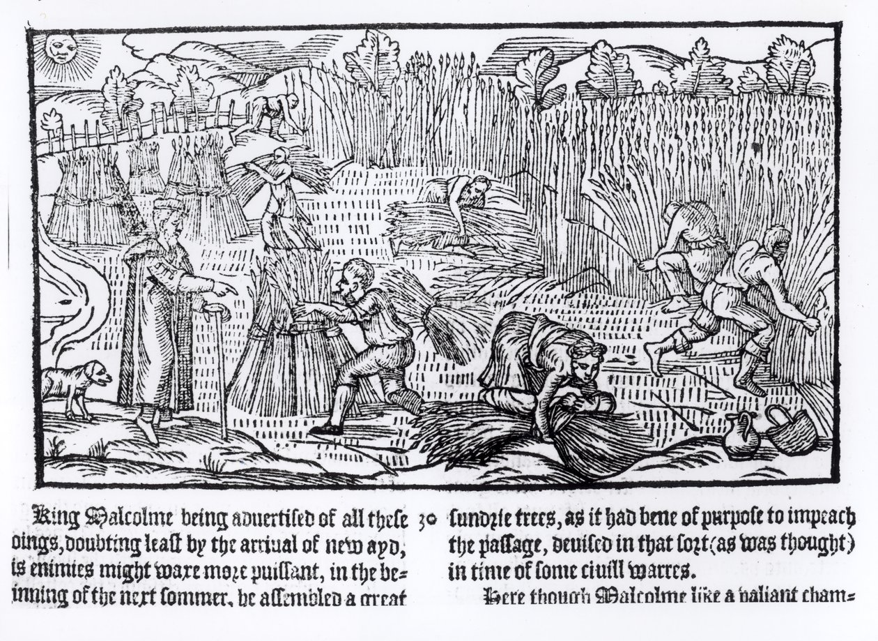 King Malcolm of Scotland Observes Agricultural Labour, 1586 od English School