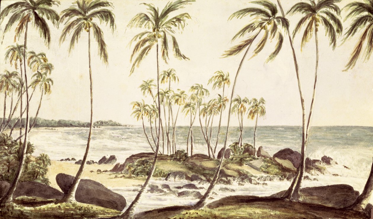 Kosgoda Beach, Ceylon, c.1835 (wc na papíře) od English School