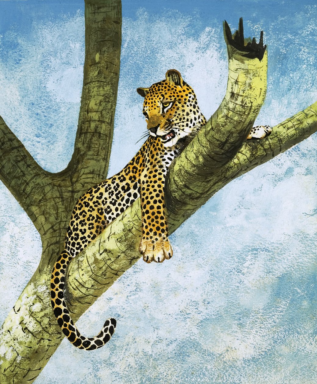 Leopard na stromě (kvaš na papíře) od English School