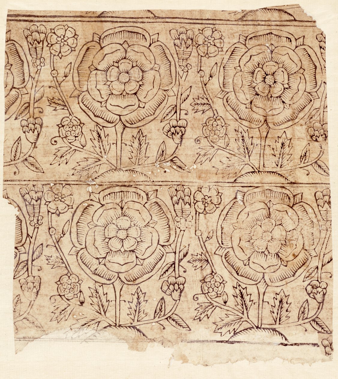 Podšívkový papír se vzorem tudorovské růže, cca 1550 (dřevěný tisk) od English School