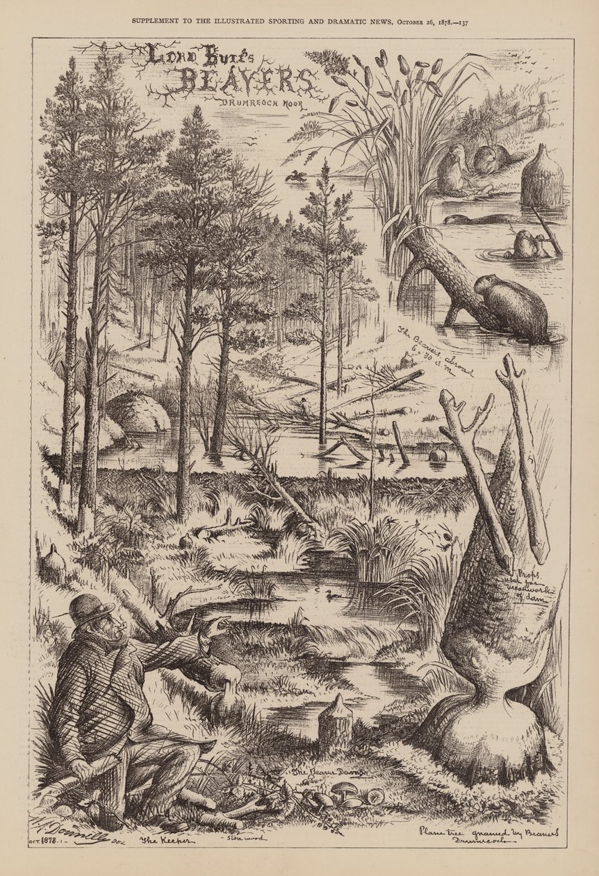 Bobři lorda Bureho, Drumreoch Moor (rytina) od English School