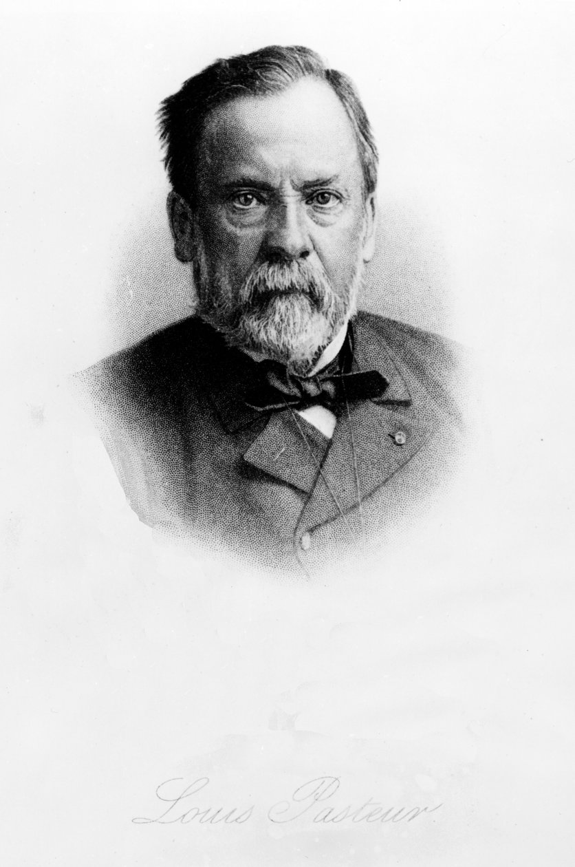Louis Pasteur (1822-95) od English School
