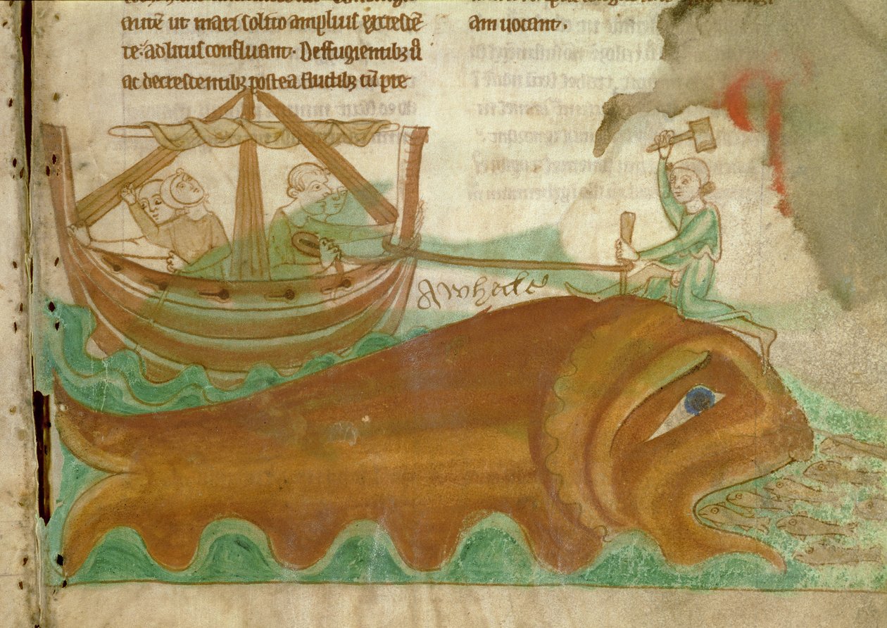 MS.254.f33r Velryba s námořníkem, který jí zatlouká kůl do hlavy, detail z anglického bestiáře, počátek 13. století (pergamen) od English School