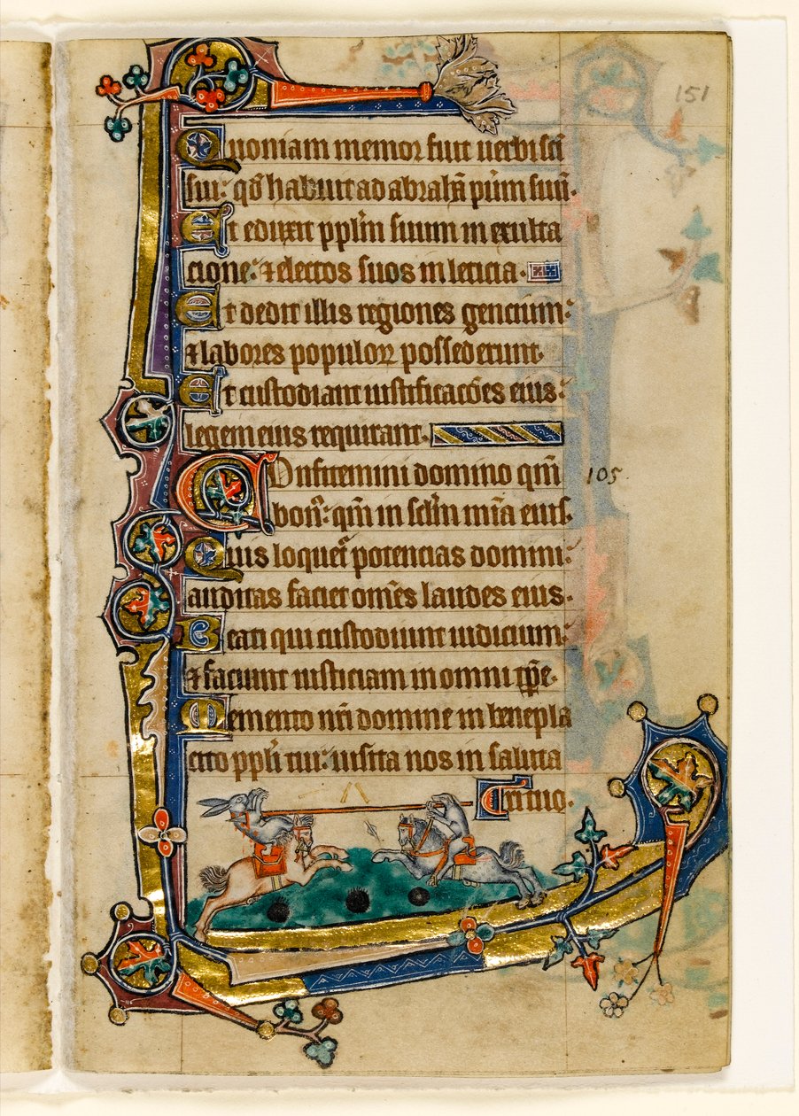 MS 1-2005, fol. 151r: A Hound and Rabbit Rytířství, okrajová dekorace z Macclesfieldského žaltáře, Use of Sarum, East Anglia, c.1330 od English School