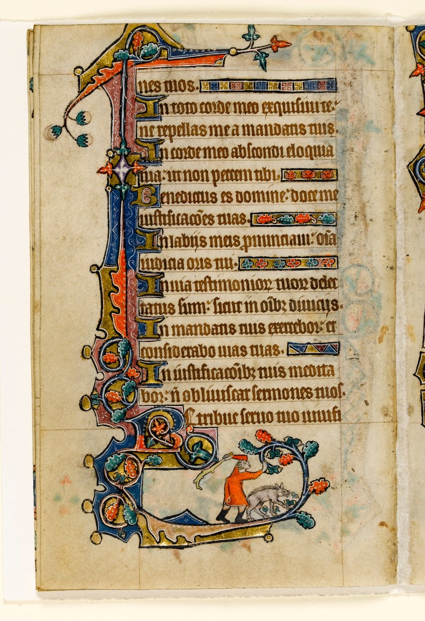 MS 1-2005, fol. 170v: Swineherd srážející žaludy pro prase, okrajová dekorace z Macclesfield Psalter, Use of Sarum, East Anglia, c.1330 od English School