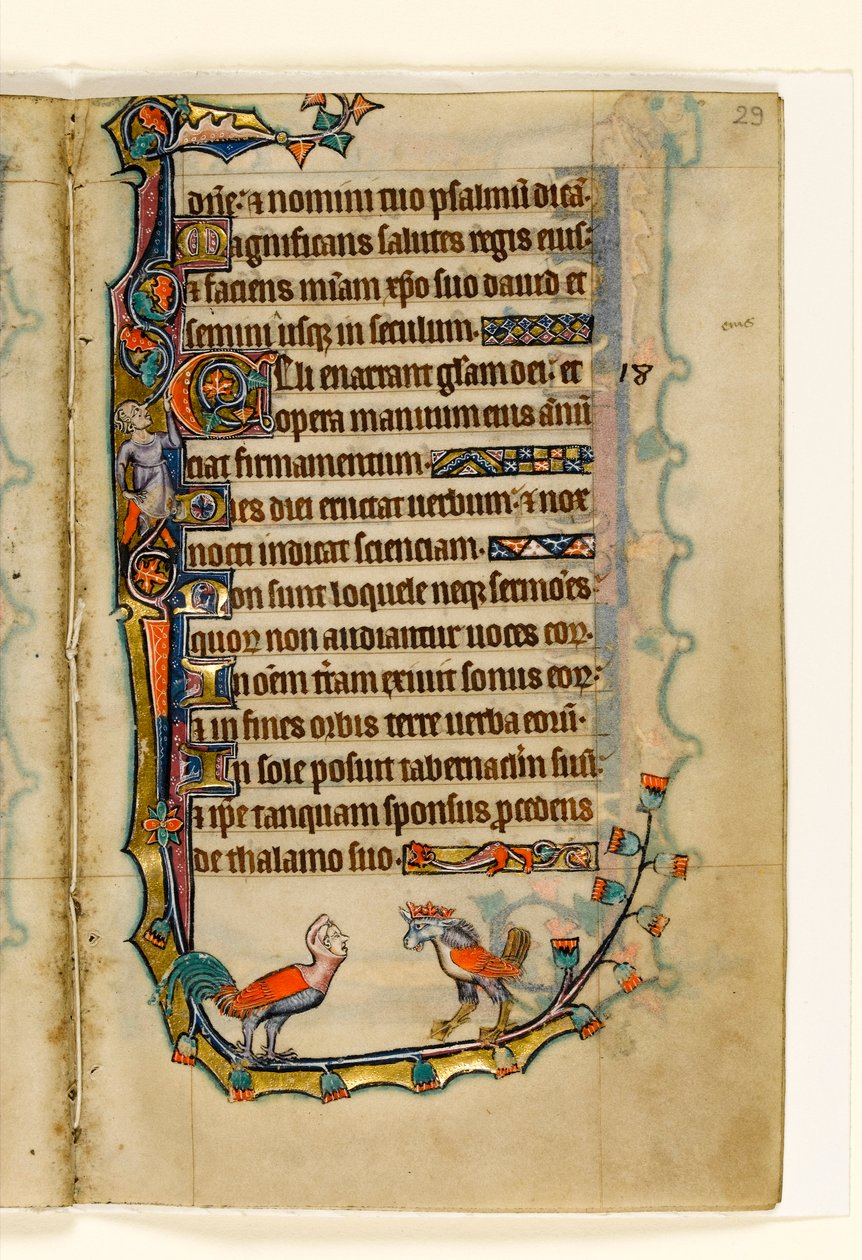 MS 1-2005, fol. 29r: Two Bird like grotesques, okrajová dekorace z Macclesfieldského žaltáře, Use of Sarum, East Anglia, c.1330 od English School