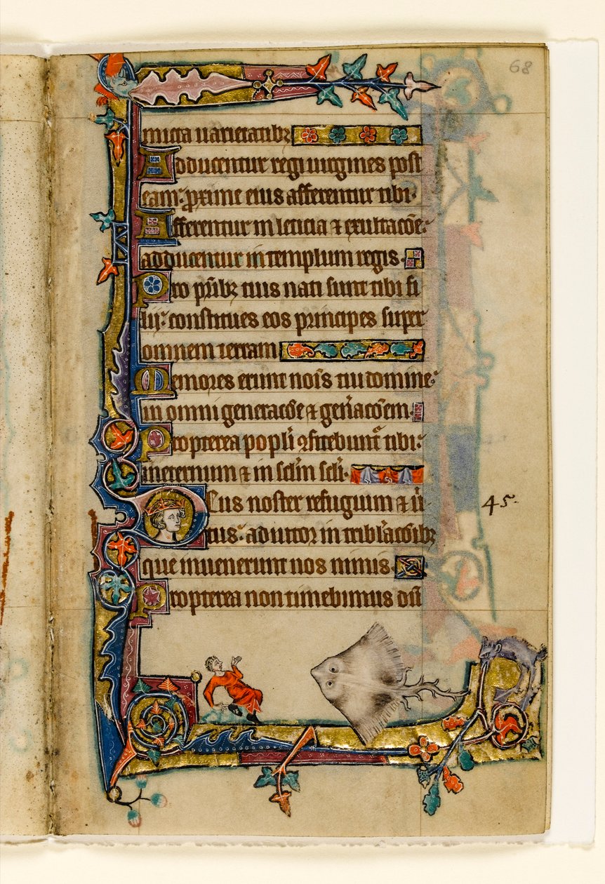 MS 1-2005, fol. 68r: The Giant Skate, okrajová dekorace z Macclesfieldského žaltáře, Use of Sarum, East Anglia, c.1330 od English School
