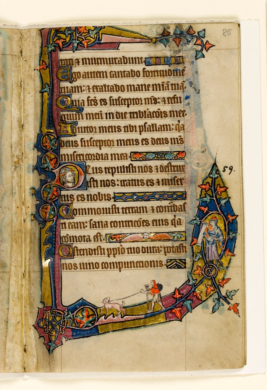 MS 1-2005, fol. 85r: Penitant se psem, okrajová dekorace z Macclesfieldského žaltáře, Use of Sarum, East Anglia, kolem 1330 od English School