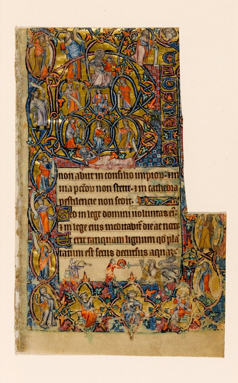MS 1-2005, fol. 9r: The Tree of Jesse a Beatus počáteční hranice s hudebníkem a groteskním bojem, z Macclesfieldského žaltáře, Use of Sarum, East Anglia, c.1330 od English School