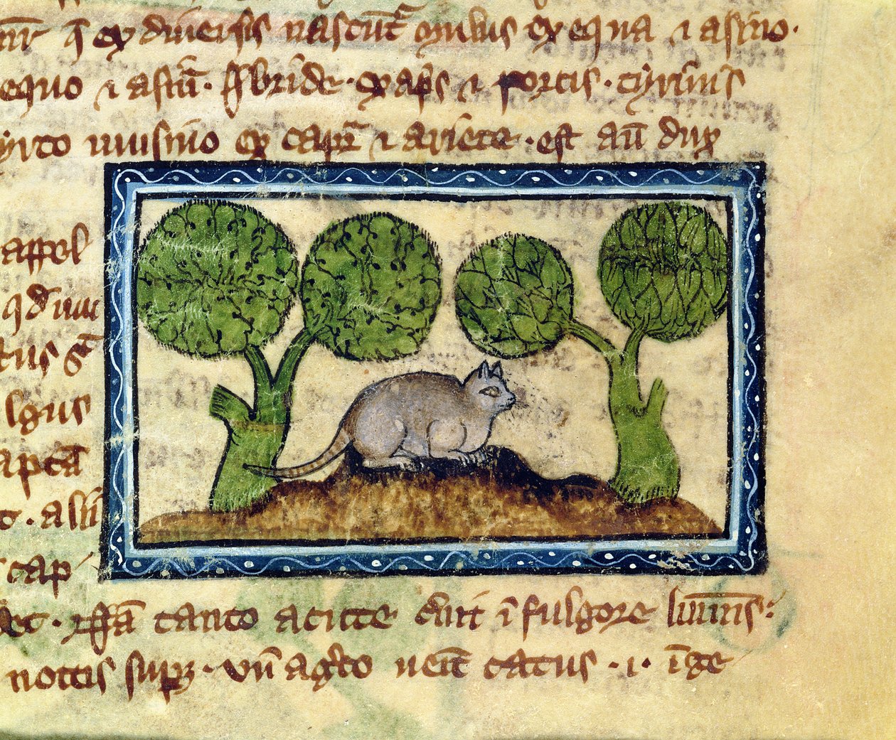 MS 379 f.12r Kočka krčící se na kopečku hlíny, detail z bestiáře, anglicky od English School