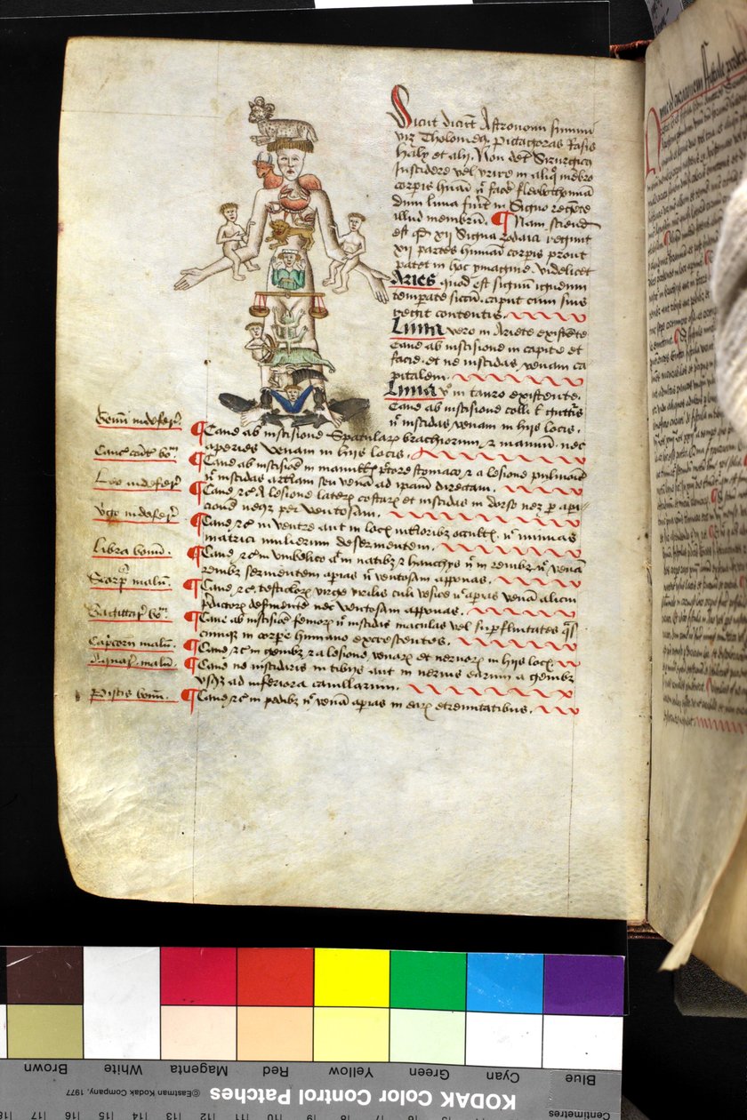 MS Hunter 251 f.47v, ilustrace 