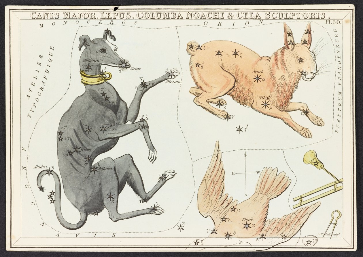 Mapy C.44.A.42 Canis Major Lepus, z 