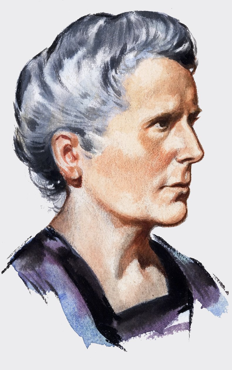 Marie Curie od English School