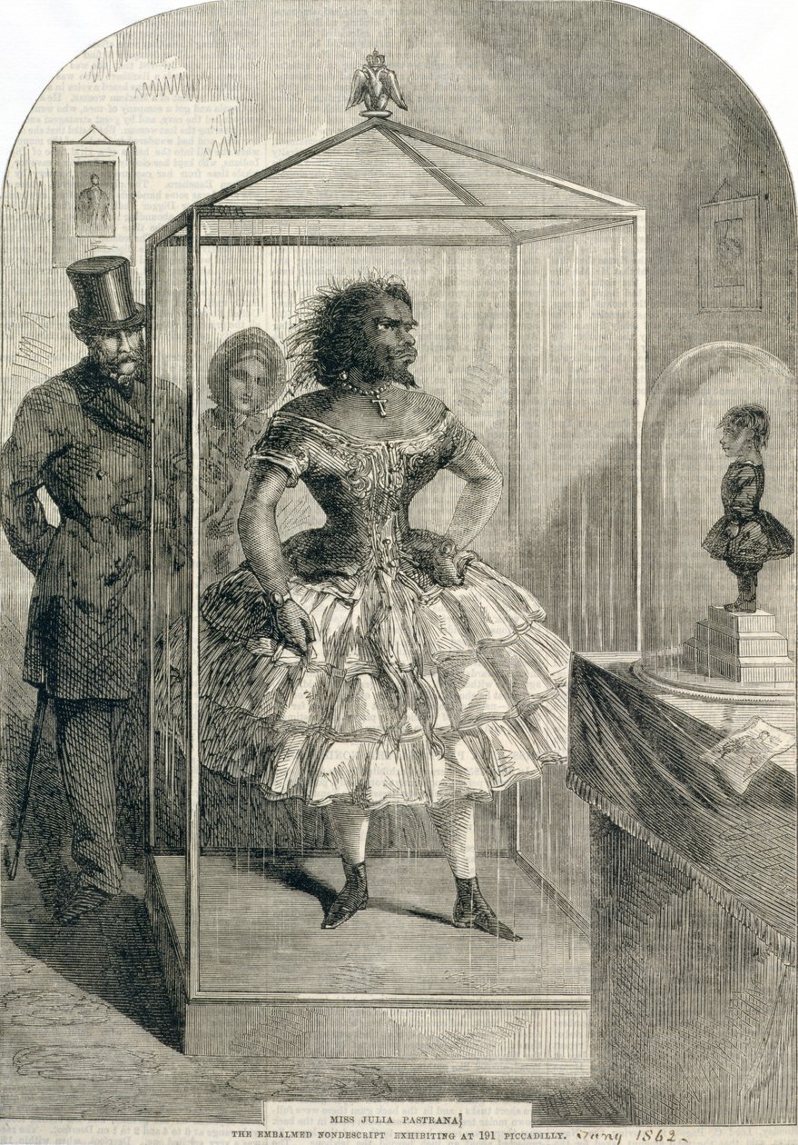 Slečna Julia Pastrana, The Balzamed Nondescript, Výstava na 191 Piccadilly, 1862 od English School