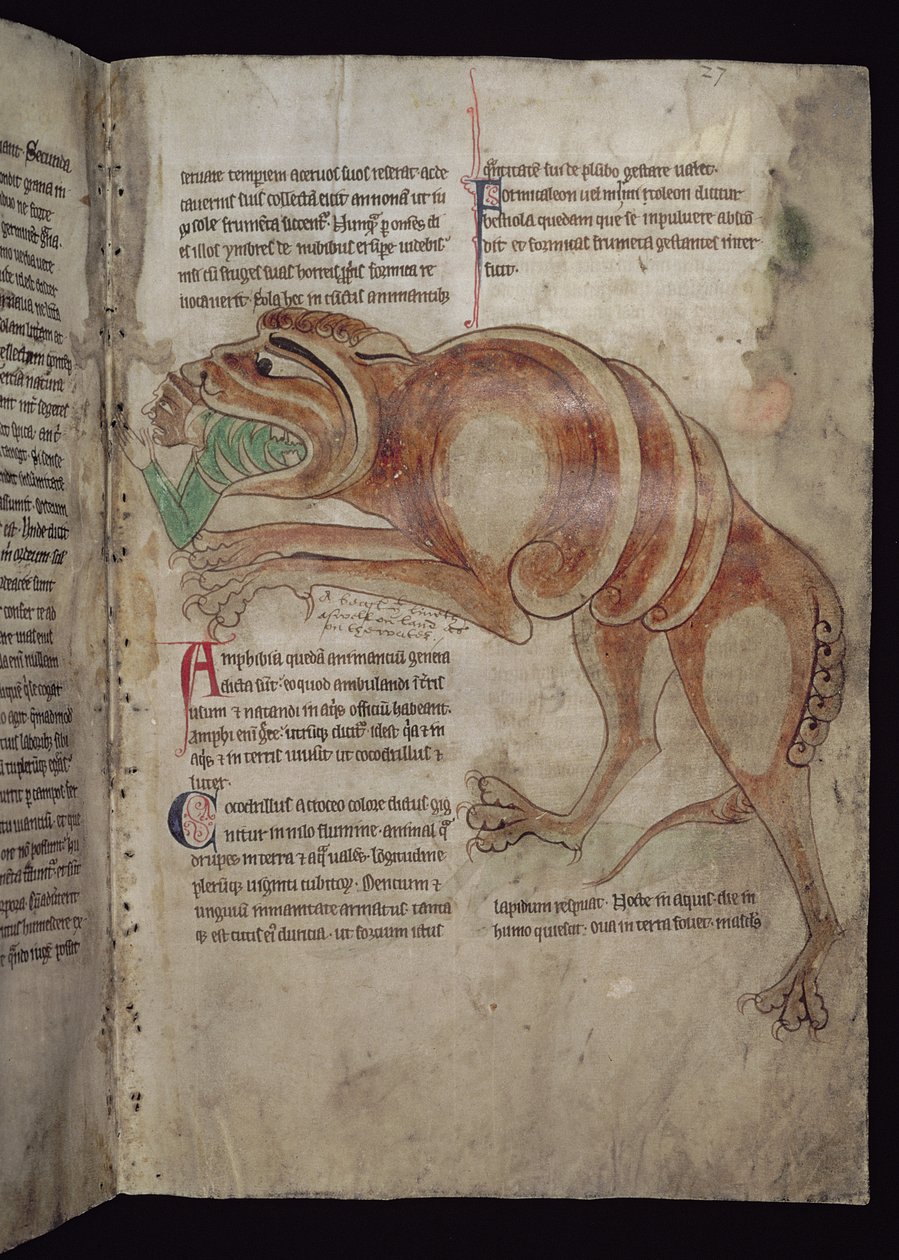 Ms.254 f.24 r Cocodrillus Swallowing a Man od English School