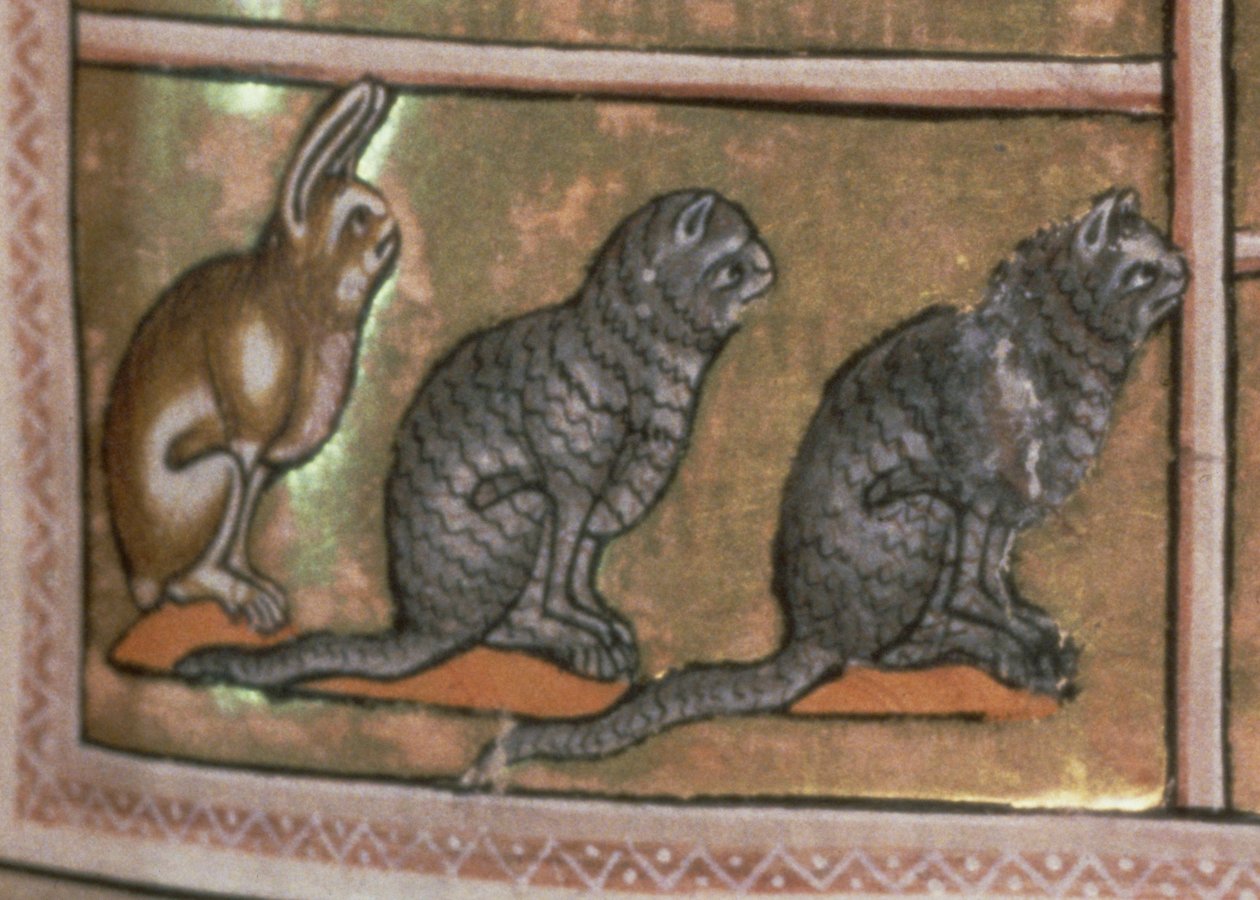 Ms 24 f.5 Adam pojmenovává zvířata, původem z North Midlands, z Aberdeen Bestiary (vellum) (detail 52593) od English School