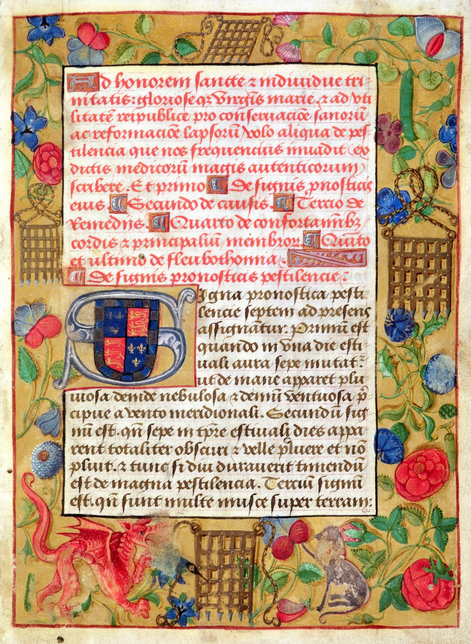 Ms 261 fol.1r Stránka ze sbírky morových traktátů v latině a angličtině, cca 1500 od English School